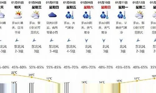 预报15天天气下载，从看天吃饭到未雨绸缪的智慧选择