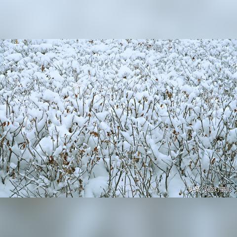 乌鲁木齐一周天气预报，雪后初晴，气温波动需留意