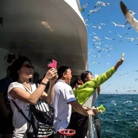 海风中的温度密码，烟台天气预报揭秘