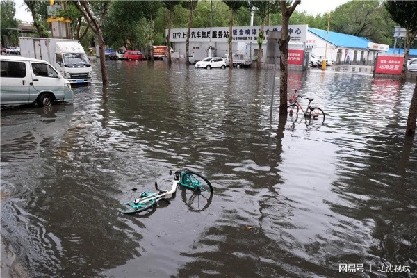 沈阳罕见大暴雨迅速响应筑牢城市安全防线