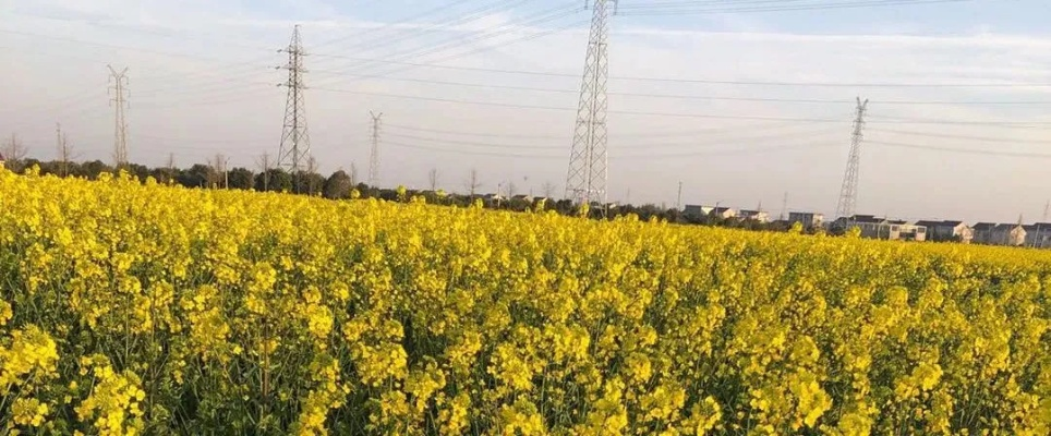 苏州天气预报一周7天，春日多变，晴雨交替需留意✅娱乐中心Welcome购彩