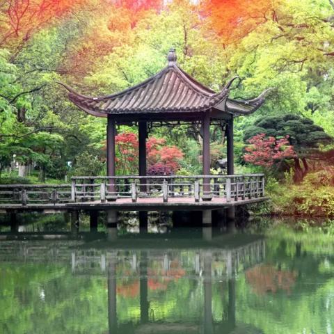 天气预报说，今天下午三点有雨。我抬头看了看天，阳光正从梧桐叶的缝隙里漏下来，在地上画出斑驳的光影。三点还早，我决定去街角的咖啡店坐坐，权当是赴一场与时间的约会。亚投彩票登录平台