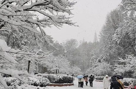 长沙将迎雨雪天气，银装素裹的星城，准备好了吗？
