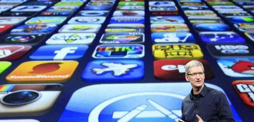 足球下赌注app苹果下载，苹果手机下载足球投注APP V3.56.9