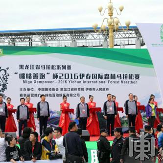 林都的呼吸，伊春天气预报与森林的对话 V7.83.2