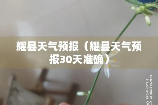 耀县未来30天天气趋势分析与生活指南