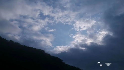那一周的阳光与雨