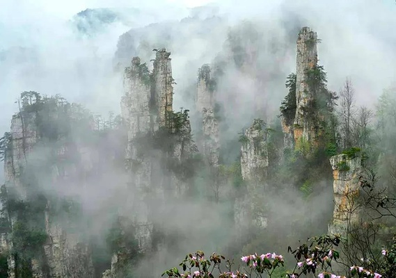 张家界，云雾深处的山水诗篇