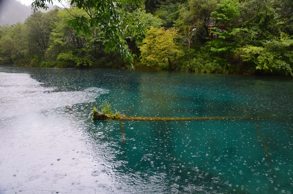 雨天游九寨，邂逅别样诗意与实用指南