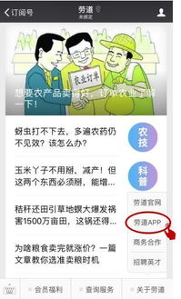 泗洪天气，四季流转间的温润记忆