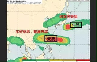台风实时路径图，科学追踪与日常防护的生命线