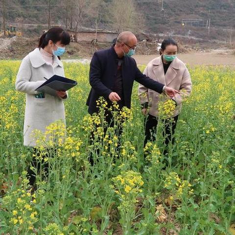 略阳天气预报，山城四季的温柔提醒