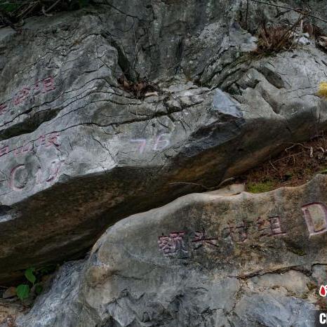 广西阳朔天气预报15天，出行前必看的旅行指南