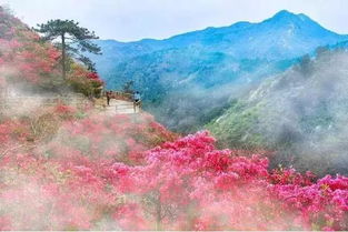 纳雍天气预报，云雾山城里的晴雨密码