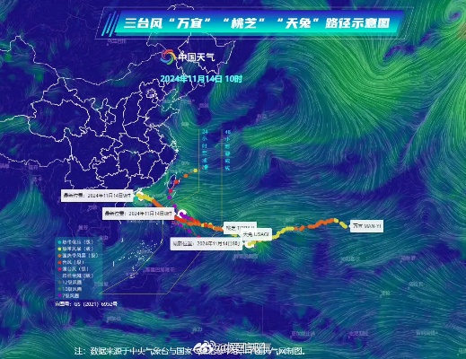 实时追踪，科学避险—浙江省台风路径实时发布系统的守护之道