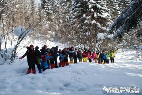 哈尔滨的雪，是一场无声的仪式
